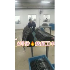 浙江江山電熱棒廠  長白班～兩班倒   男18-55，女18-50周歲