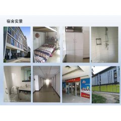 北京電子廠  招聘  女158以上，男165以上，年齡16-40歲