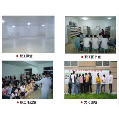 山東山孚日水有限公司招聘信息 男女不限，18-45周歲，