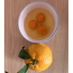 笨雞蛋 農村笨雞蛋
