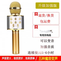 手機(jī)全民K歌神器無(wú)線藍(lán)牙兒童麥克風(fēng)專(zhuān)供話筒