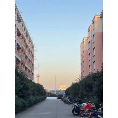 南京中電熊貓晶體  招聘：男18-35周歲，女18-40周歲。